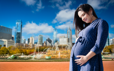 Why Illinois Is One of the Best States for Gestational Surrogates